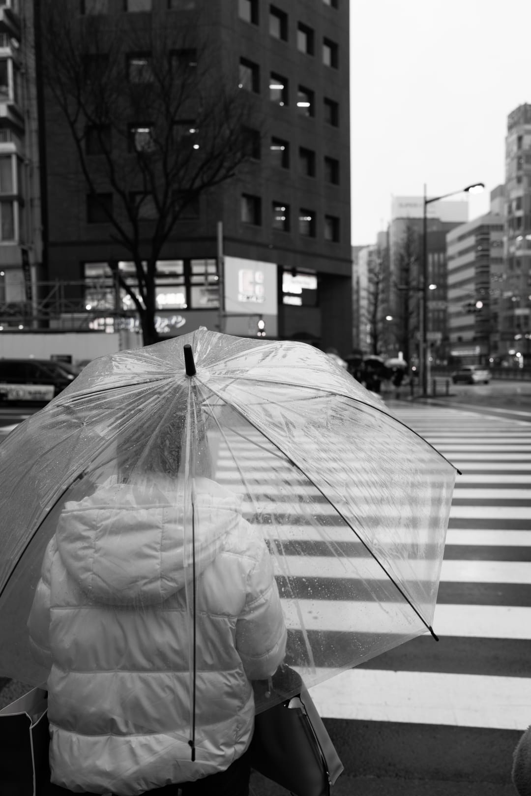 Black and white view of a person beneath a clear umbrella at a crosswalk