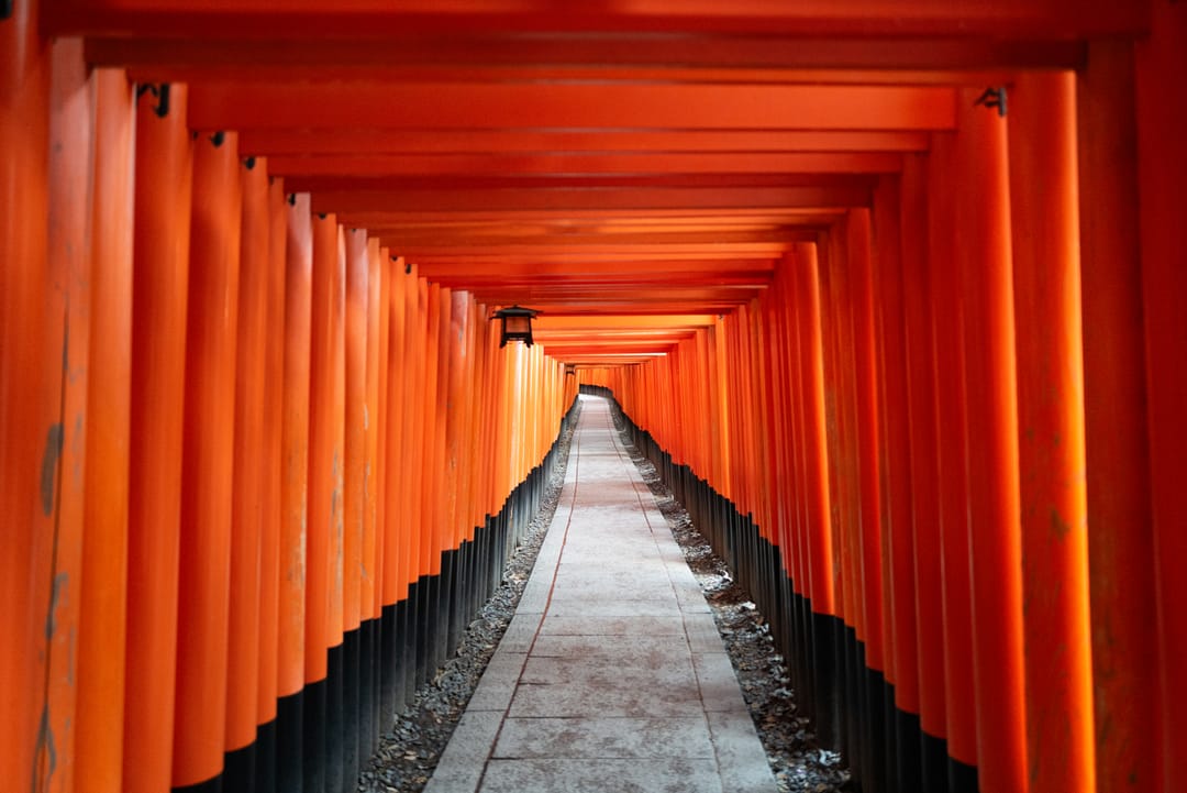 A long tunnel of red torii gates