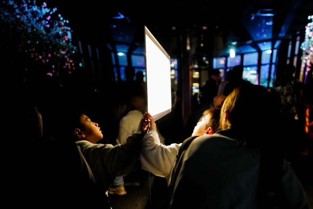 Silhouetted figures gathered around a glowing white panel at night
